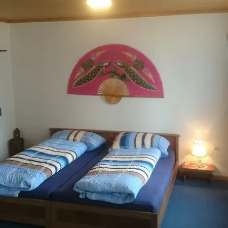 Pension Wil Guest house *